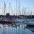 Le port de Meschers et le Carrelet Marie — photo 5